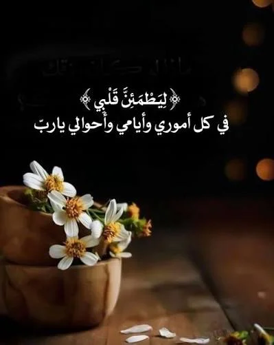 1770040172008.webp