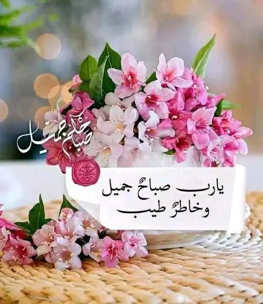 1770105507448.webp