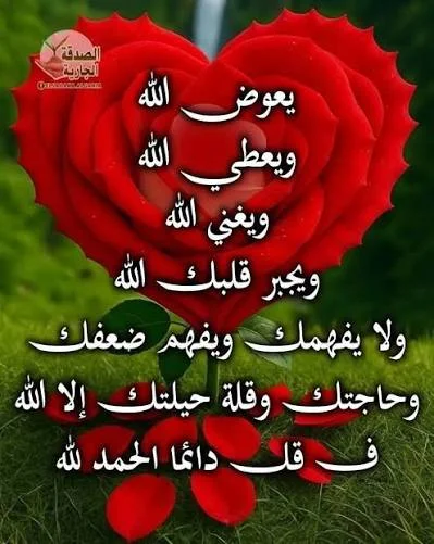 1770142797314.webp
