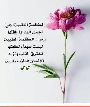 1770151231297.webp
