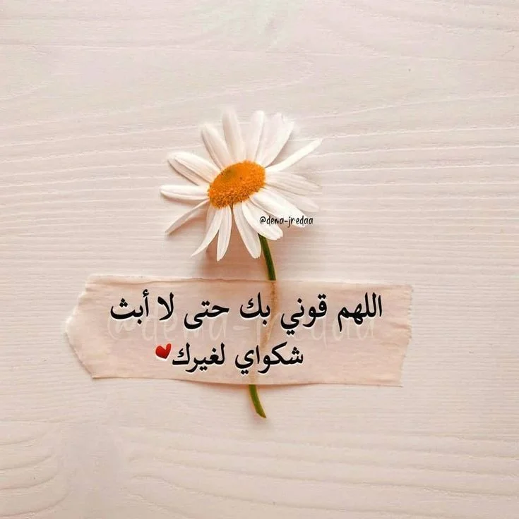 1770279085682.webp