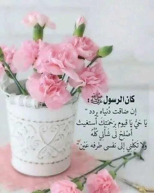 1770322559986.webp