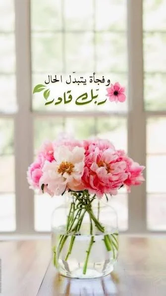 1770322747294.webp