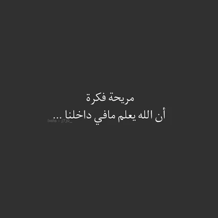 1770322801614.webp