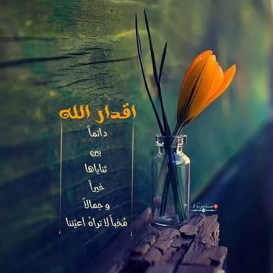 1770391243549.webp