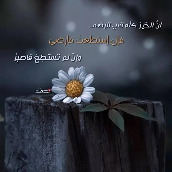 1770391381968.webp