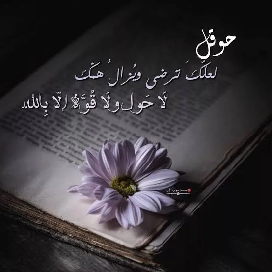1770391437524.webp