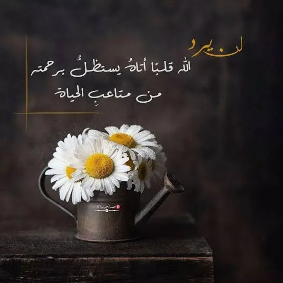 1770391490158.webp