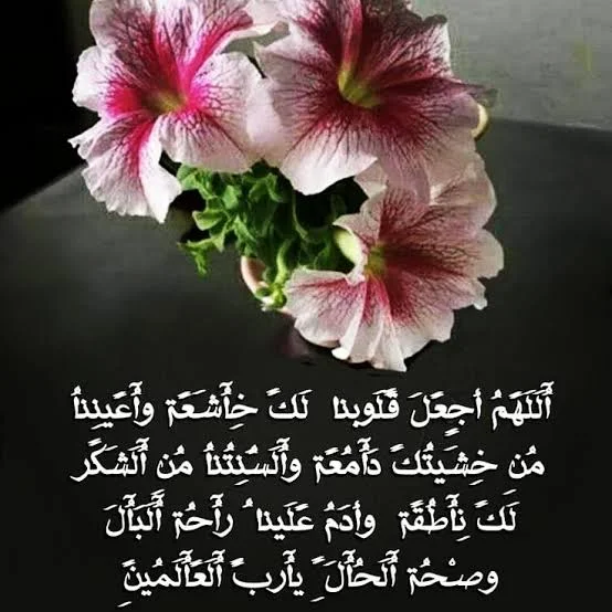 1770413094316.webp