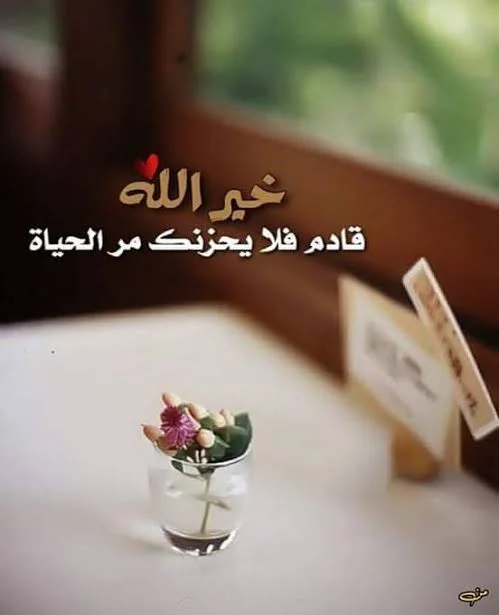 1770413143472.webp