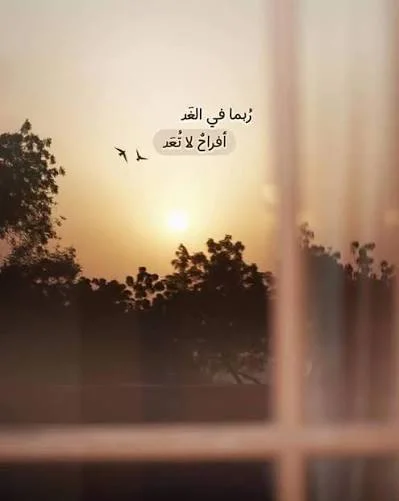 1770414900833.webp