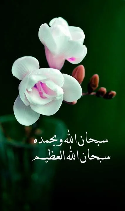 1770500168142.webp