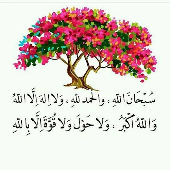 1770500244015.webp