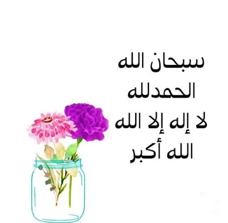1770585812674.webp