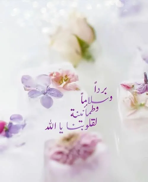 1770823625852.webp