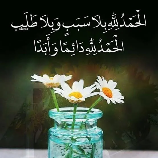 1770835571299.webp