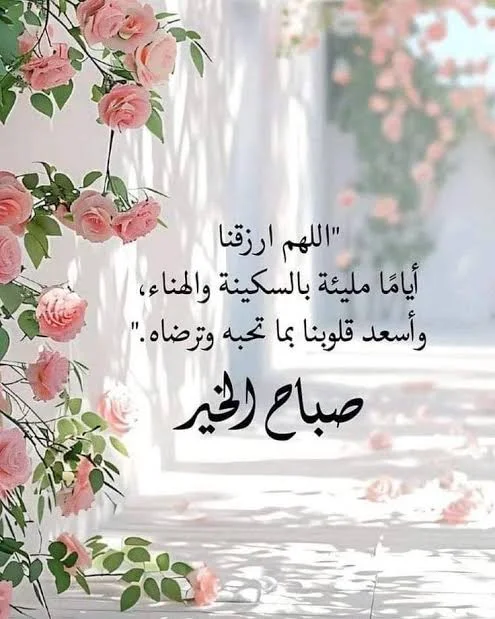 1771052884887.webp