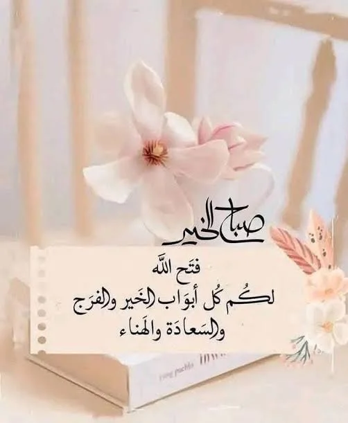 1771139975061.webp