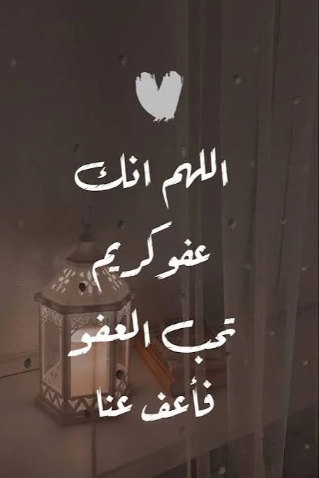1771247036399.webp
