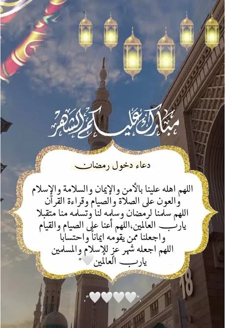 1771448866467.webp