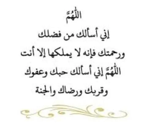 1771505819234.webp
