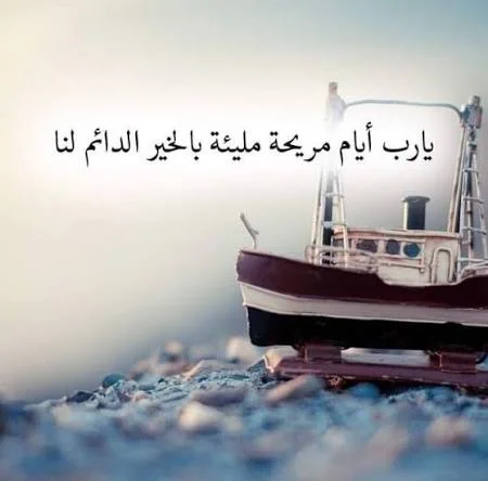 1771506454252.webp