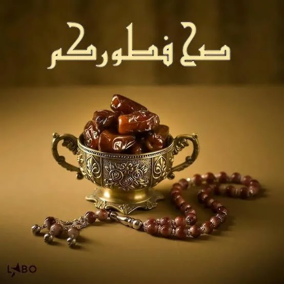 1771531005101.webp