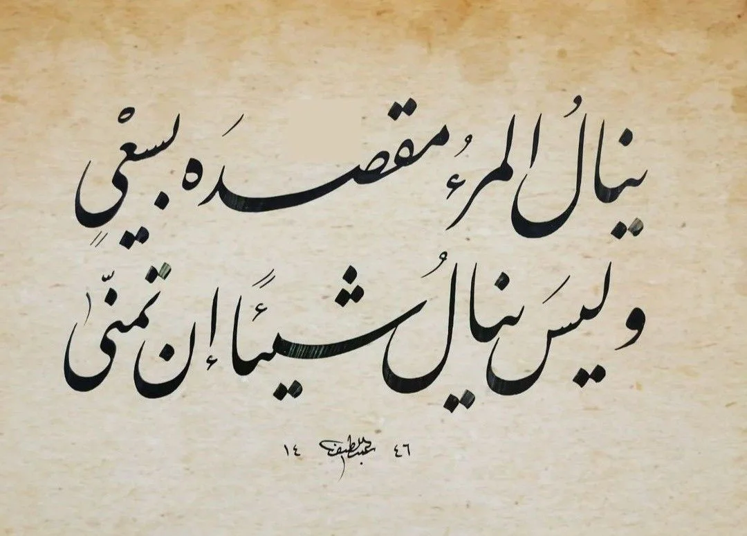 1771539845588.webp