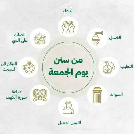 1771586194488.webp