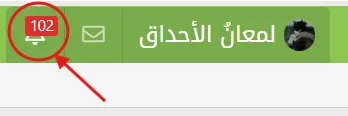 1771671205112.webp