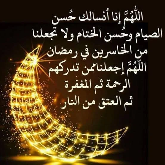 1771681433016.webp