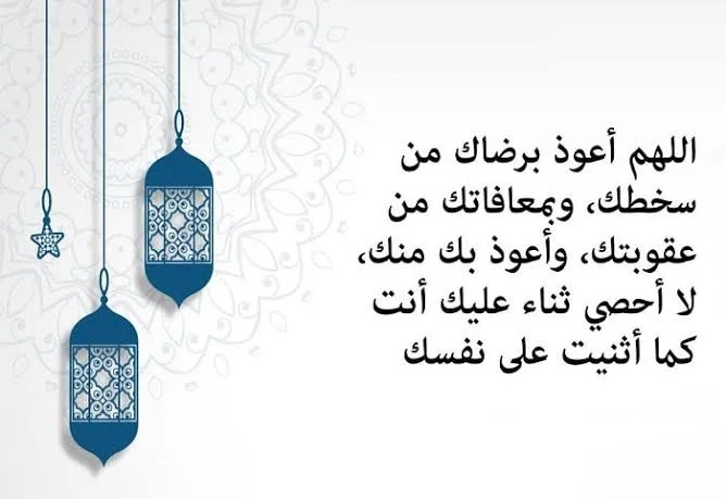 1771681491486.webp