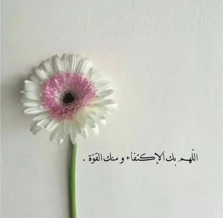 1771685393150.webp