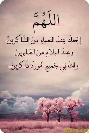 1771763632249.webp