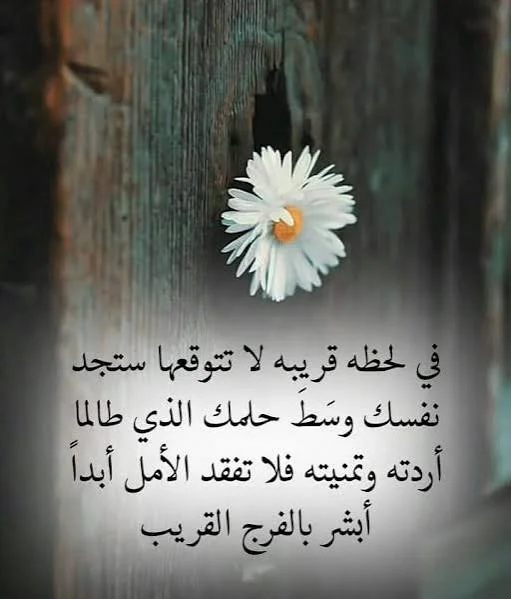 1772014377614.webp