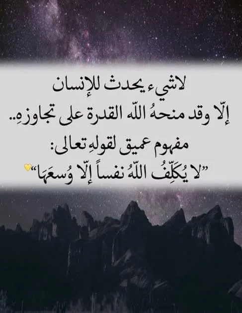 1772014490836.webp