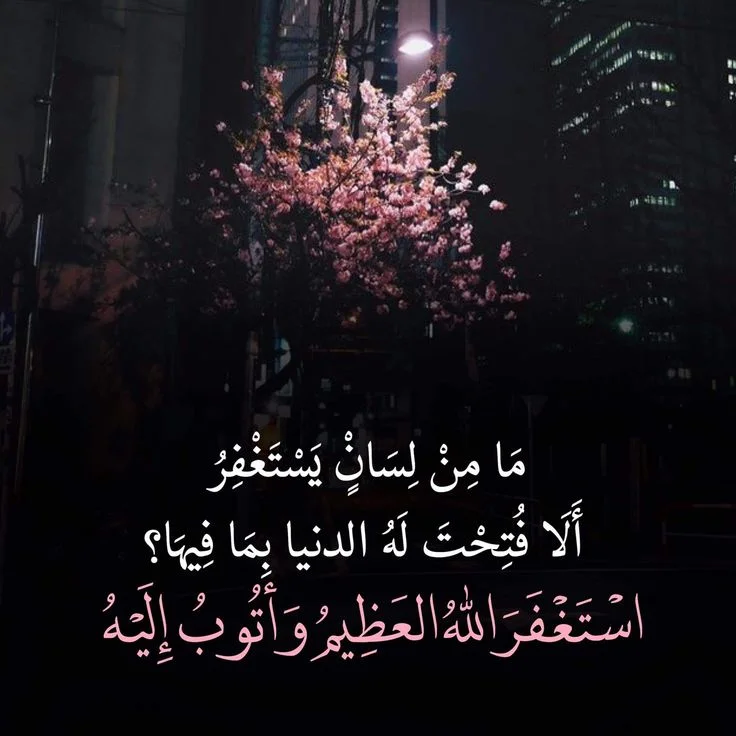 1772014545082.webp