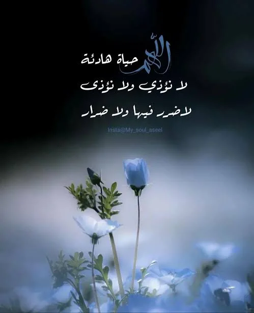 1772027472284.webp