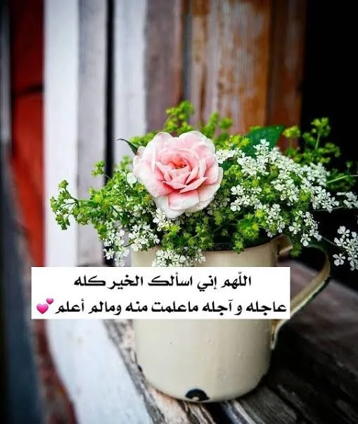 1772654098981.webp