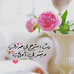 1772666181900.webp