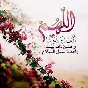 1772666688851.webp