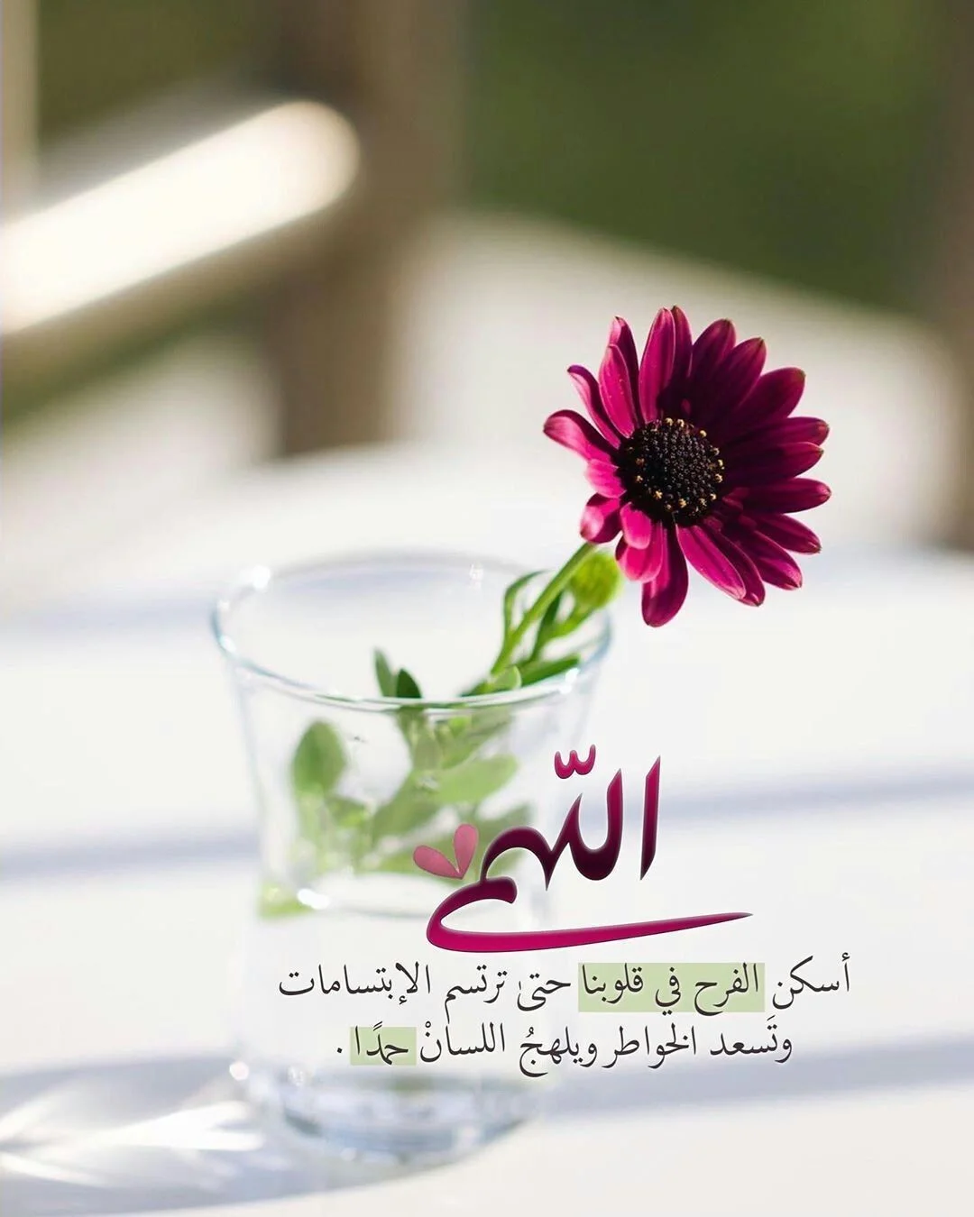 1772716443823.webp