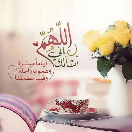1772825157524.webp