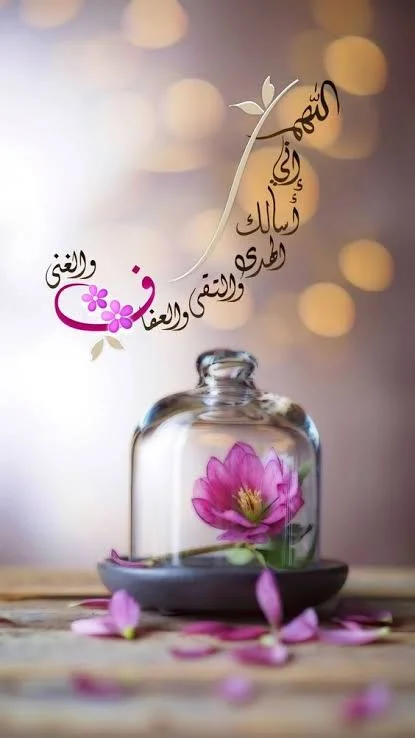 1772892264909.webp