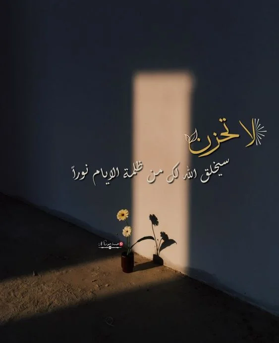 1772911724040.webp