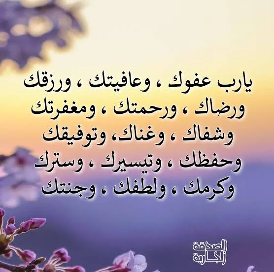 1773086057574.webp