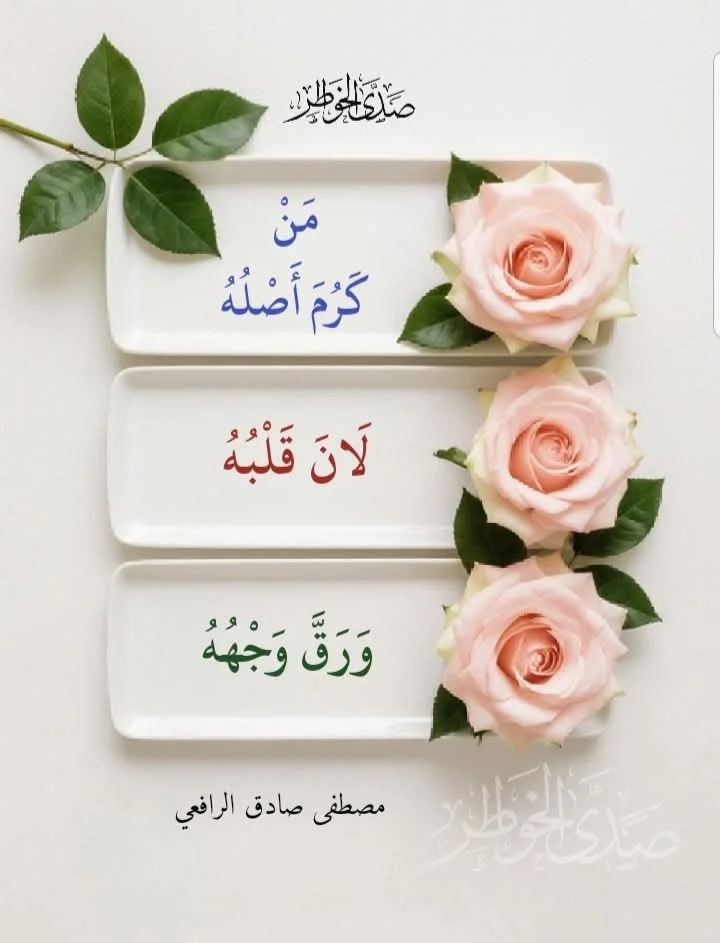FB_IMG_1774087147631.webp