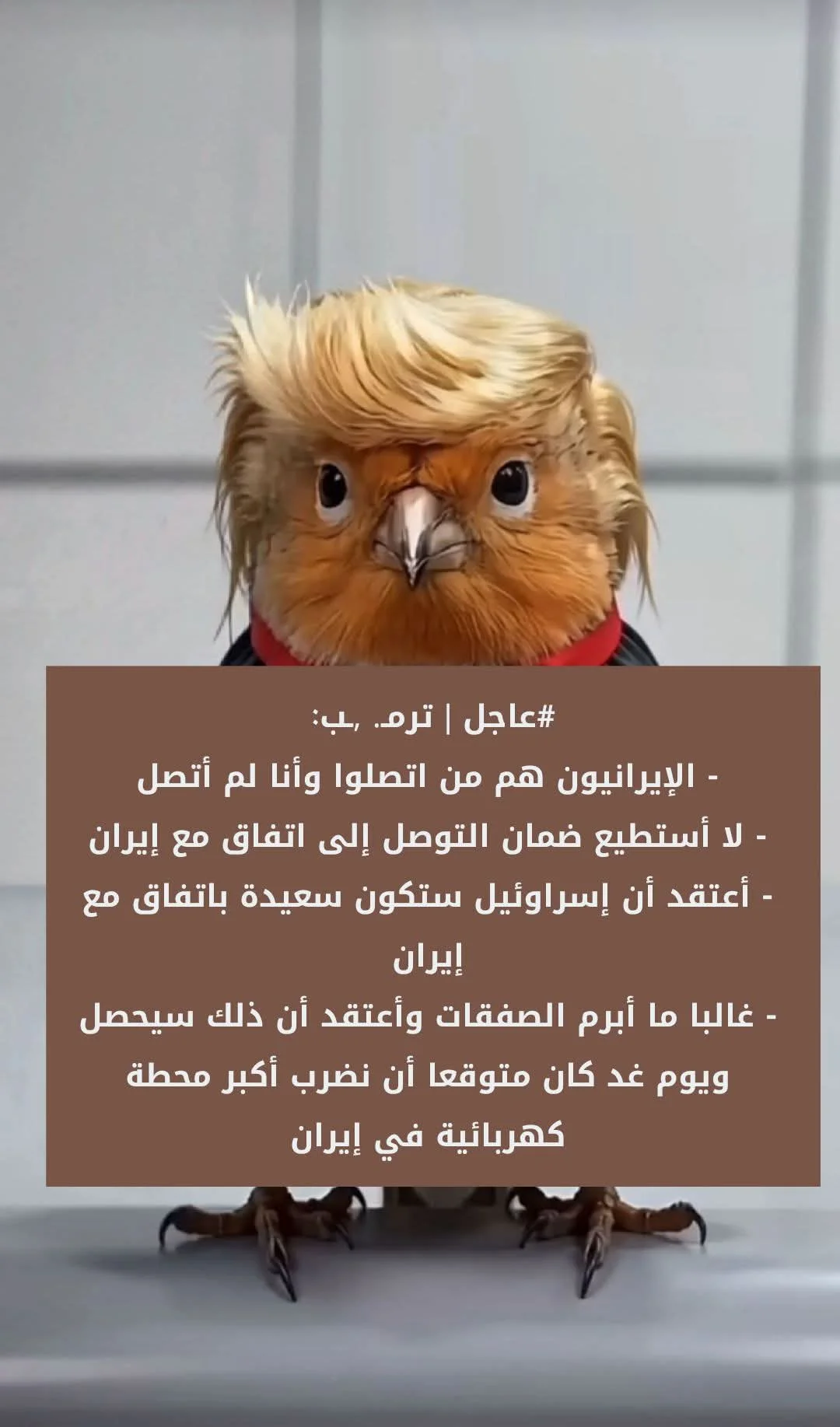 FB_IMG_1774289728867.webp