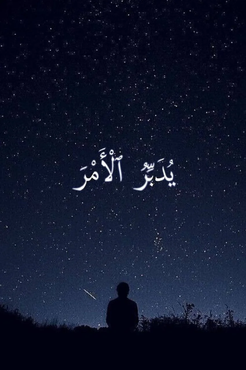 1774825492040.webp