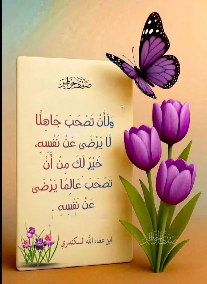 FB_IMG_1775825063287.webp